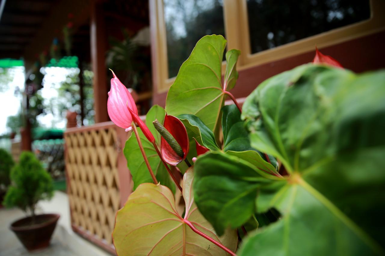 Essence Motel Kalaw Buitenkant foto
